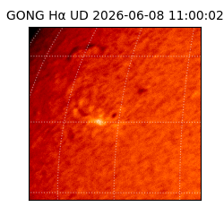 gong - 2026-06-08T11:00:02