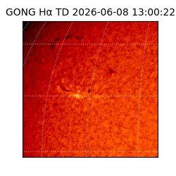 gong - 2026-06-08T13:00:22