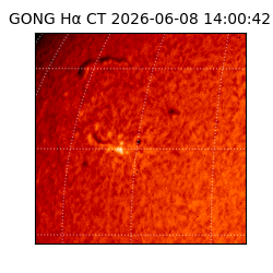 gong - 2026-06-08T14:00:42