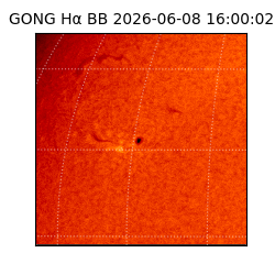 gong - 2026-06-08T16:00:02