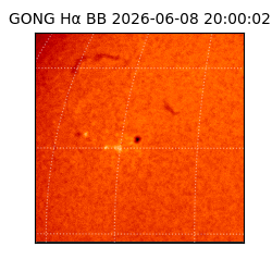 gong - 2026-06-08T20:00:02