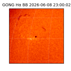 gong - 2026-06-08T23:00:02