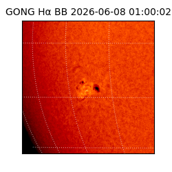 gong - 2026-06-08T01:00:02