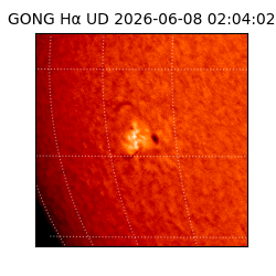 gong - 2026-06-08T02:04:02