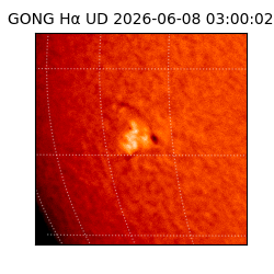 gong - 2026-06-08T03:00:02