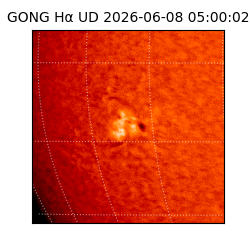 gong - 2026-06-08T05:00:02