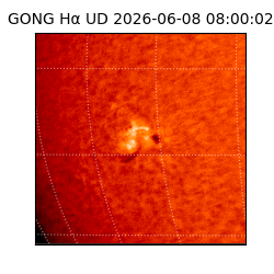 gong - 2026-06-08T08:00:02