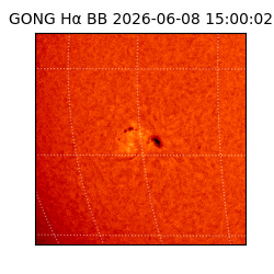 gong - 2026-06-08T15:00:02