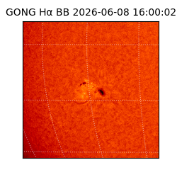 gong - 2026-06-08T16:00:02