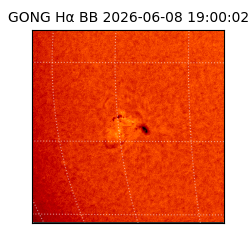 gong - 2026-06-08T19:00:02