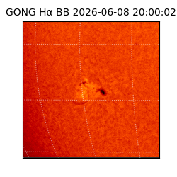 gong - 2026-06-08T20:00:02