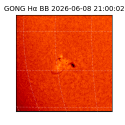 gong - 2026-06-08T21:00:02