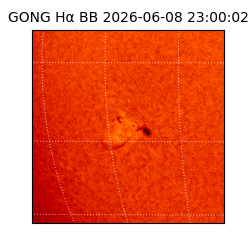 gong - 2026-06-08T23:00:02