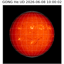 gong - 2026-06-08T10:00:02
