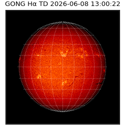 gong - 2026-06-08T13:00:22