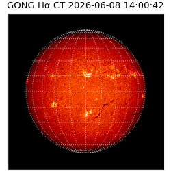 gong - 2026-06-08T14:00:42