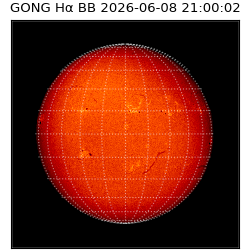 gong - 2026-06-08T21:00:02