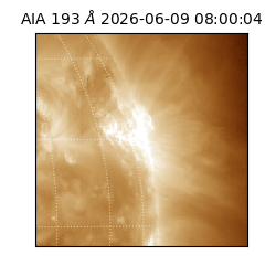 saia - 2026-06-09T08:00:04.842000