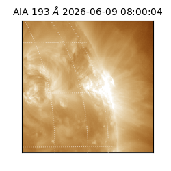 saia - 2026-06-09T08:00:04.842000
