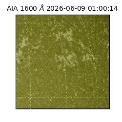 saia - 2026-06-09T01:00:14.123000