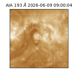 saia - 2026-06-09T09:00:04.842000