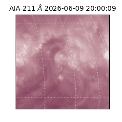 saia - 2026-06-09T20:00:09.624000