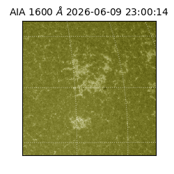 saia - 2026-06-09T23:00:14.124000