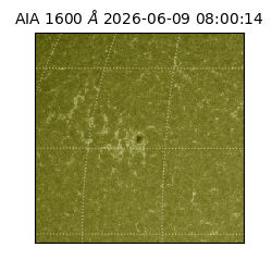 saia - 2026-06-09T08:00:14.124000