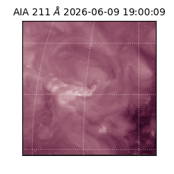 saia - 2026-06-09T19:00:09.623000