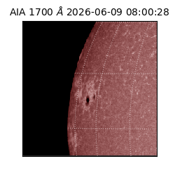 saia - 2026-06-09T08:00:28.716000