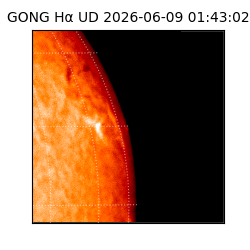 gong - 2026-06-09T01:43:02