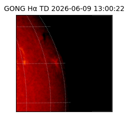 gong - 2026-06-09T13:00:22
