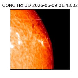 gong - 2026-06-09T01:43:02