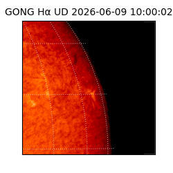 gong - 2026-06-09T10:00:02