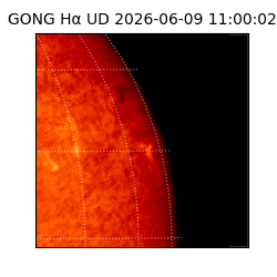 gong - 2026-06-09T11:00:02