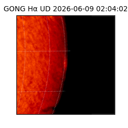 gong - 2026-06-09T02:04:02