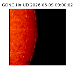 gong - 2026-06-09T09:00:02