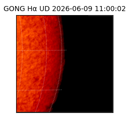 gong - 2026-06-09T11:00:02