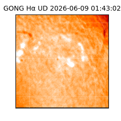 gong - 2026-06-09T01:43:02