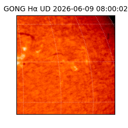 gong - 2026-06-09T08:00:02