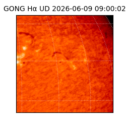 gong - 2026-06-09T09:00:02