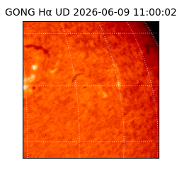 gong - 2026-06-09T11:00:02