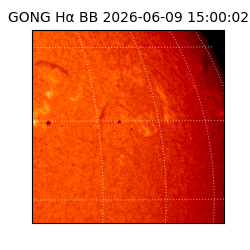 gong - 2026-06-09T15:00:02