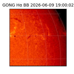 gong - 2026-06-09T19:00:02