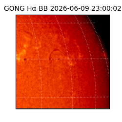 gong - 2026-06-09T23:00:02