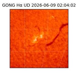 gong - 2026-06-09T02:04:02
