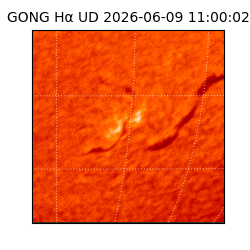 gong - 2026-06-09T11:00:02