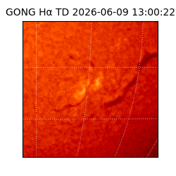 gong - 2026-06-09T13:00:22