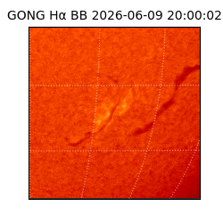 gong - 2026-06-09T20:00:02