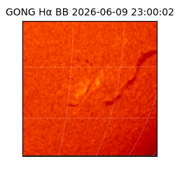 gong - 2026-06-09T23:00:02